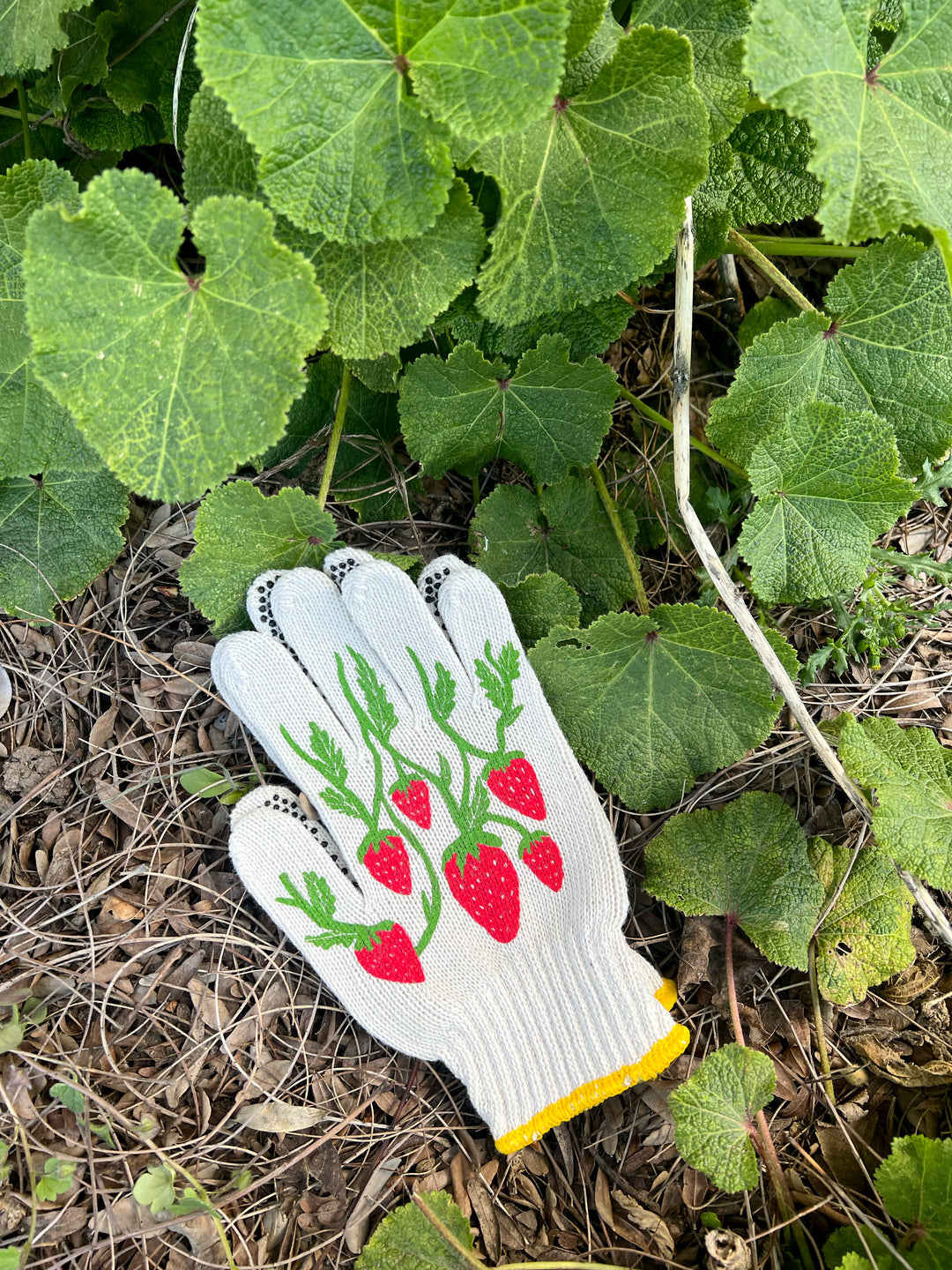 New! Strawberry Gardening Gloves – My Little Belleville