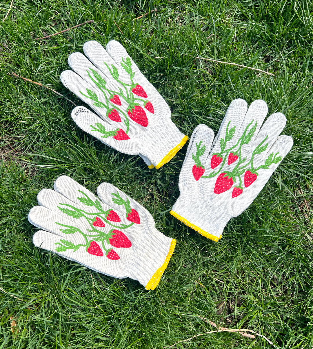 Bee Gardening Gloves Heirloom Carrots