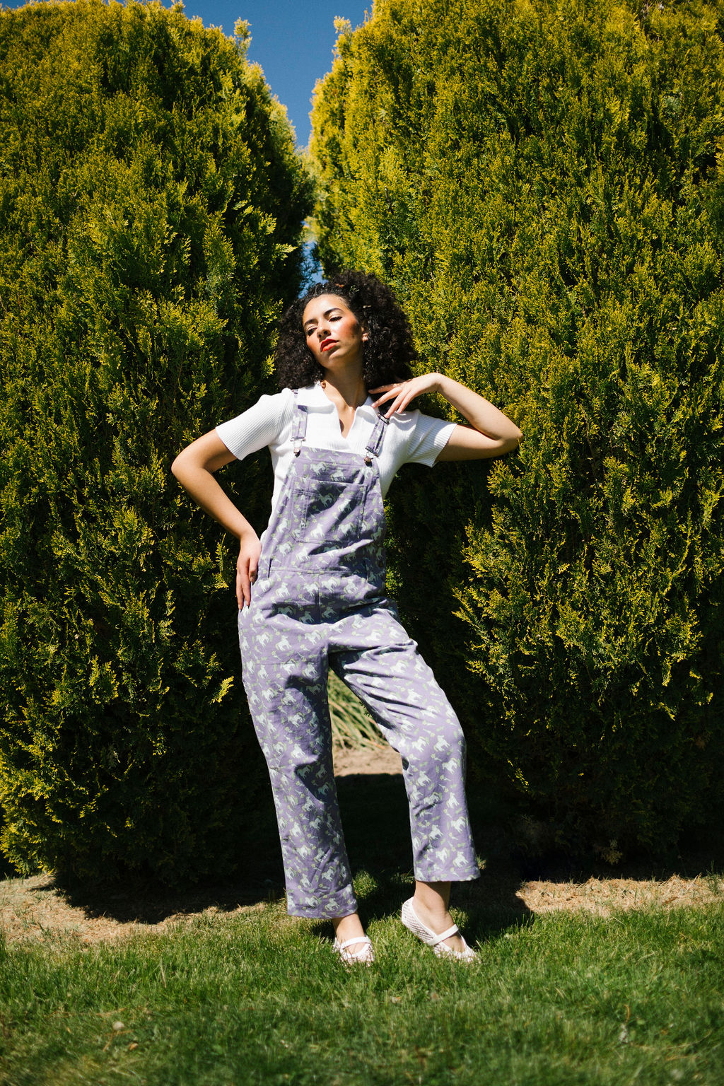 Lavender Lila Overalls | Floral Horses – My Little Belleville